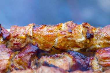 Mangal şiş kebap yemek