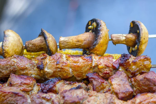 Champignon shish Kebab Barbecue Koch — Stockfoto