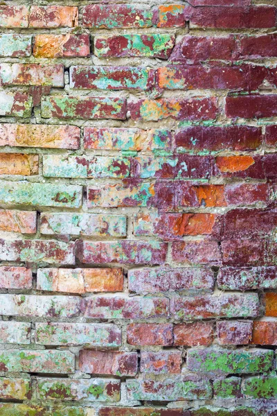 Grunge farbige alte Wand — Stockfoto