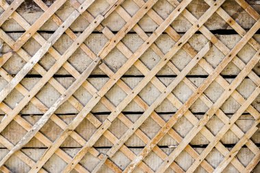 Tavan sıva için eski dekorasyonu. Eski dekor arka plan onarın. Mimari doku tasarım