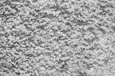 Gri sıva arka plan. Çimento duvar beton doku zemin. Retro grunge inşaat yapı tasarımı