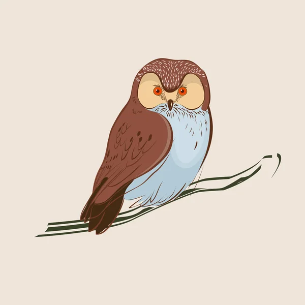 Hand Drawn Owl Brown Owl Sitting Branch Vector Illustration — Stock Vector