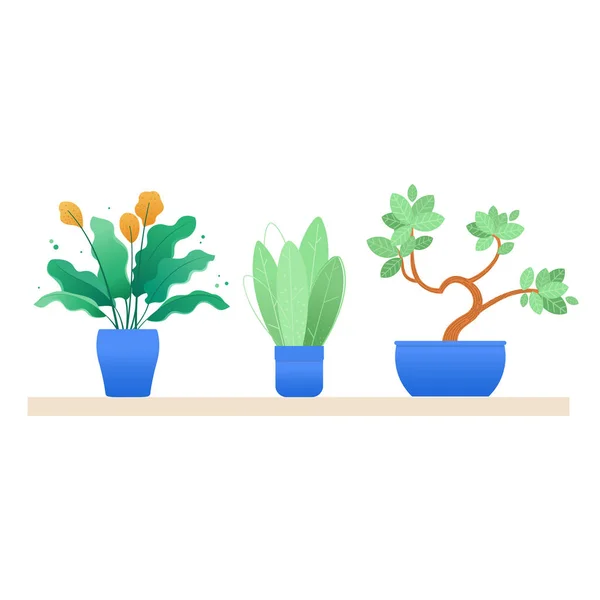 Plantas de casa en macetas — Vector de stock