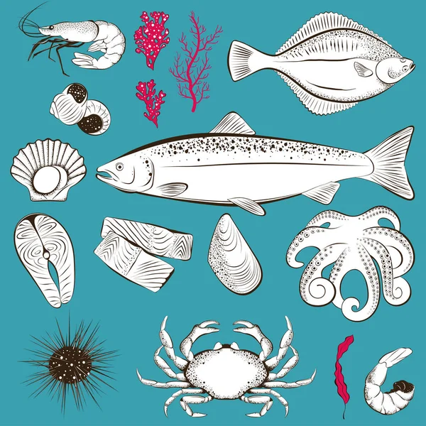 Ensemble Fruits Mer Poissons Dessinés Main Crevettes Poissons Pétoncles Poulpes — Image vectorielle