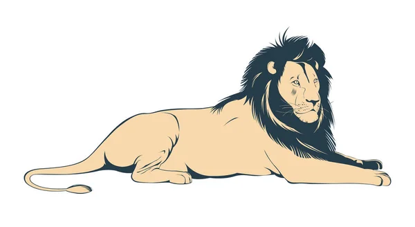 Gros Lion Mâle Couché Sur Fond Blanc Illustration Vectorielle — Image vectorielle