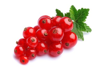 Kırmızı kuş üzümü üzerinde beyaz izole closeup berry.