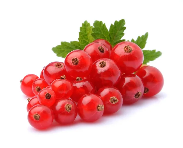 Groselhas Vermelhas Berry Closeup Isolado Branco — Fotografia de Stock