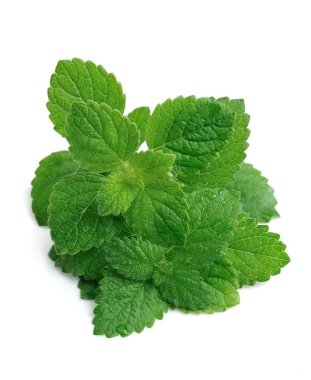Beyaz arka planda taze nane yaprakları.