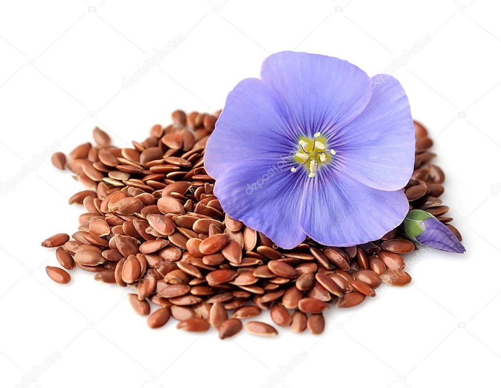 Flax seed and blue flowers closeup backgrounds.