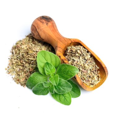 Taze kekik otlar. Kekik otlar kuru baharat.