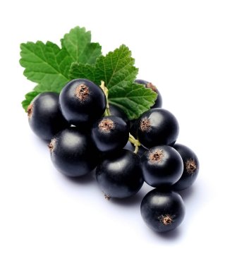 Kuş üzümü, tatlı çilek.