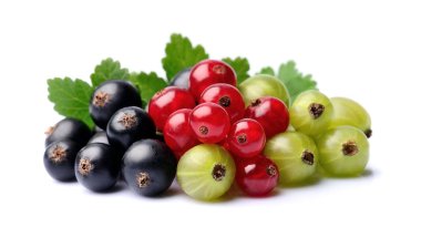 Ahududu, frenk üzümü ve Bektaşi üzümü.