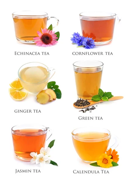 A gyógynövényes tea kollázs. — Stock Fotó
