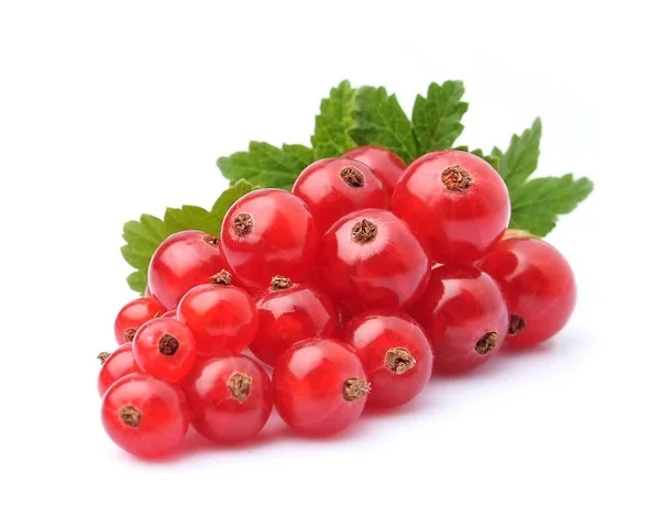Sweet red currants with leaves. — Stock Photo, Image
