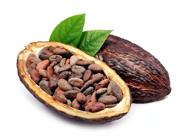 Kakaoschote — Stockfoto