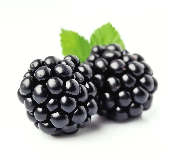 Süße Brombeeren . — Stockfoto