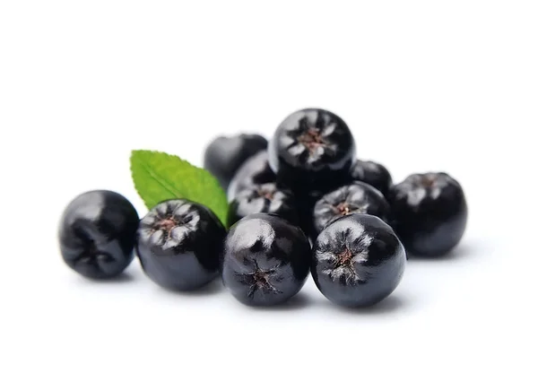 Svart Aronia — Stockfoto