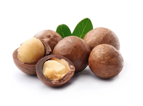 Macadamia nuts. — Stock Photo, Image