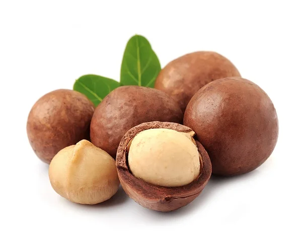 Macadamia nuts. — Stock Photo, Image