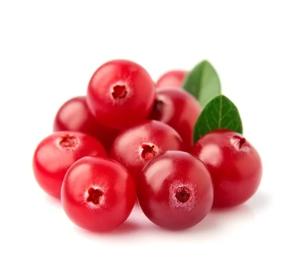 Frische Preiselbeeren — Stockfoto