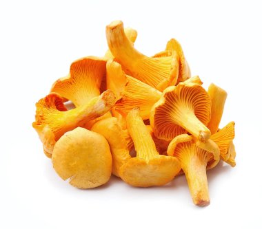 Beyaz arka planlar üzerinde izole chanterelle mantar.