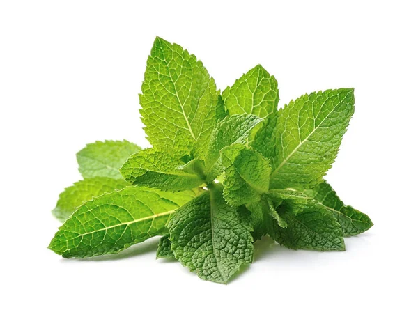 Fresh Mint Leaves Isolated White Backgrounds — Stock Photo, Image