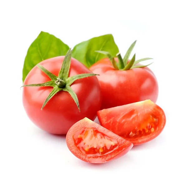 Tomates Con Hojas Albahaca Aisladas Sobre Fondos Blancos —  Fotos de Stock