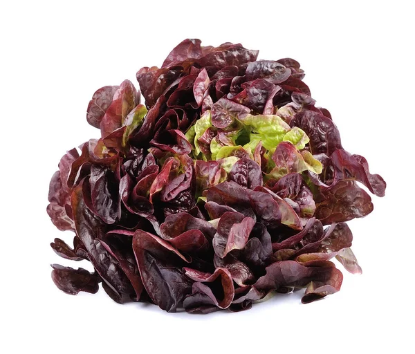 Roter Salat Isoliert Auf Weißem Hintergrund Lebensstil — Stockfoto