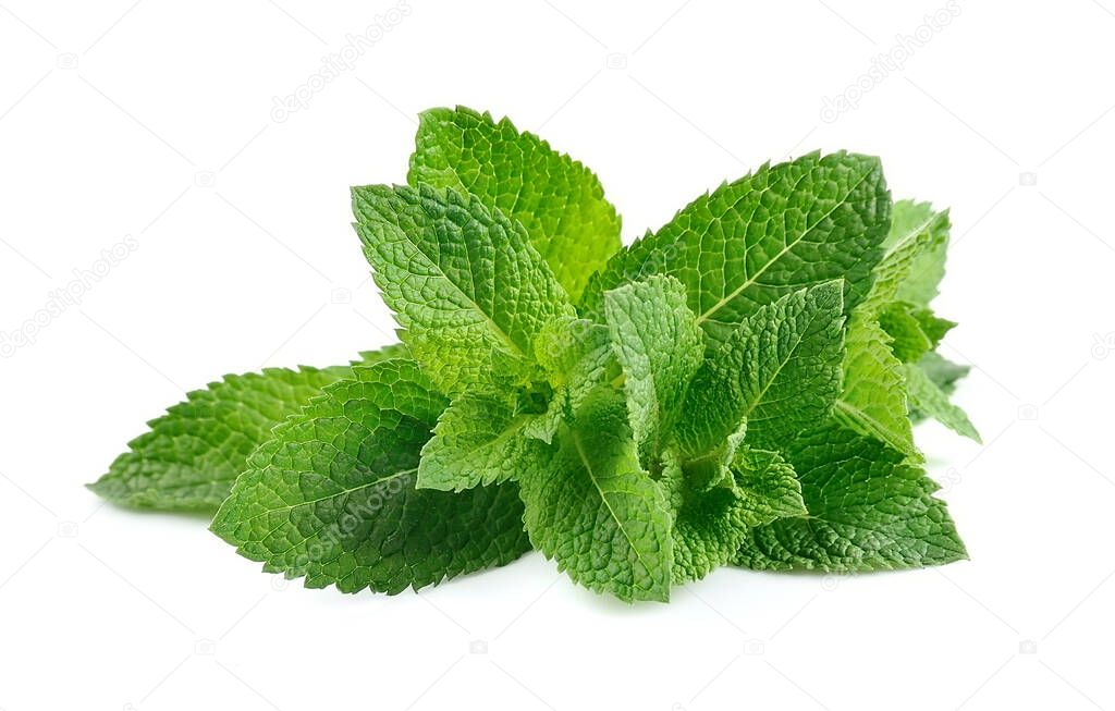 Mint leaves isolated on white backgrounds.