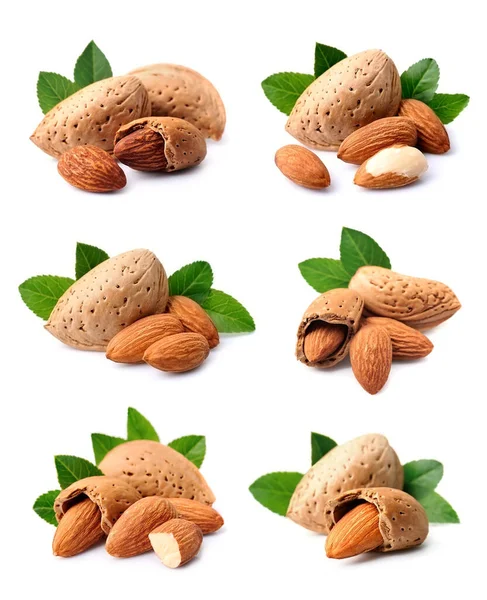Collage Almonds Nuts Isolated White Backgrounds — Stock Photo, Image