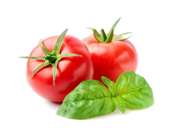 Słodkie Pomidory Ziołami Bazylii Izolowane Białym Tle — Zdjęcie stockowe