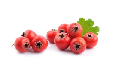Beyaz arka planda yalıtılmış Hawthorn meyveleri.