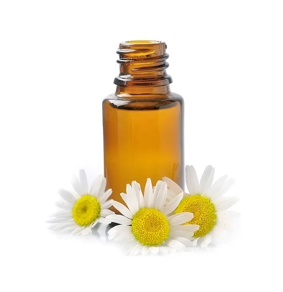 Chamomile Flowers Cosmetic Oil White Backgrounds — Stock Photo, Image
