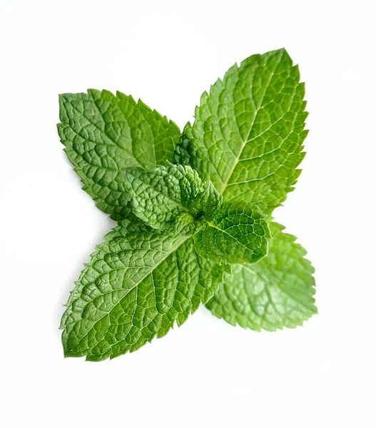 Foglie Menta Fresca Isolate Fondo Bianco — Foto Stock