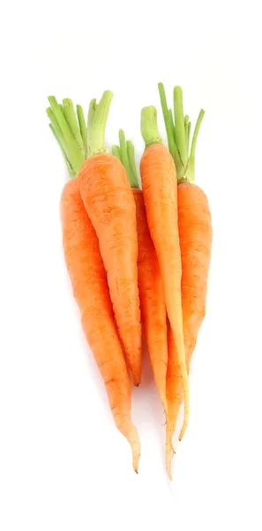 Ripe Carrot Roots Isolated White Backgrounds — Stock Photo, Image