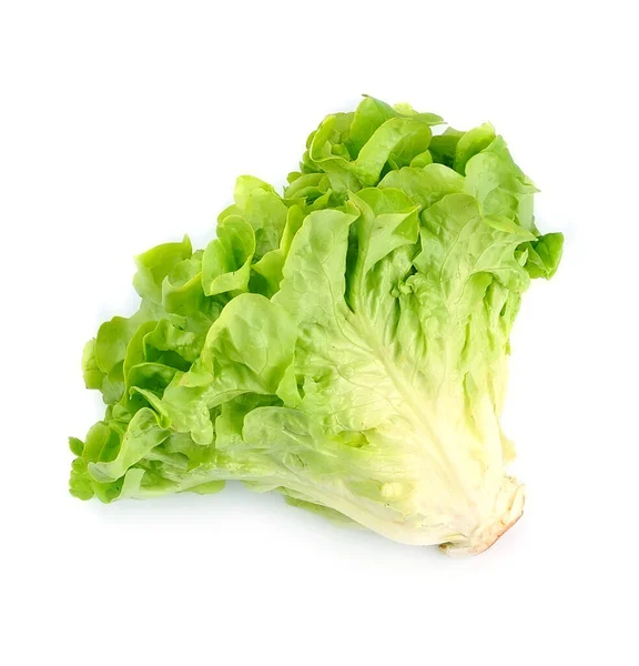 Salatblätter Großaufnahme Auf Weißem Hintergrund — Stockfoto