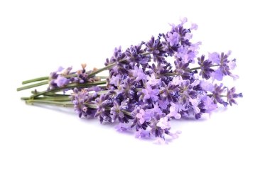  Beyaz arkaplanda izole edilmiş.