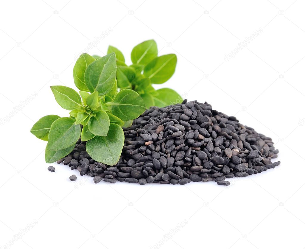 Basil seed and basil leaves isolated on white backgrounds.