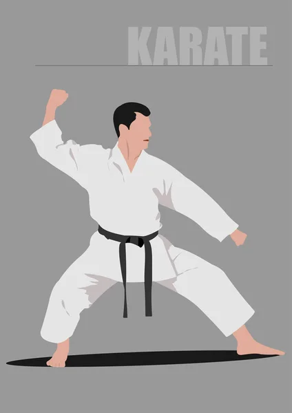 Karate silhouettes — Stock Vector