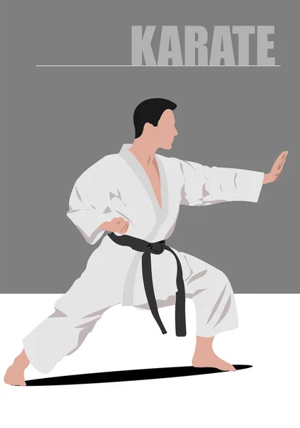 Silhouette di karate — Vettoriale Stock