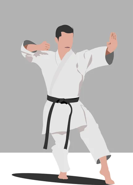 Siluetas de karate — Vector de stock
