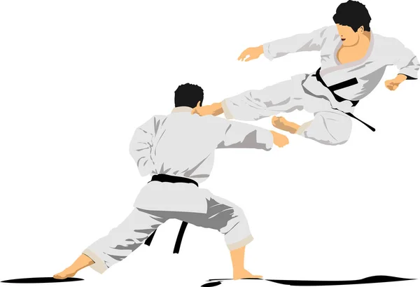 Oriental Combat Sports Karate Colored Vector Illustration — Stock Vector