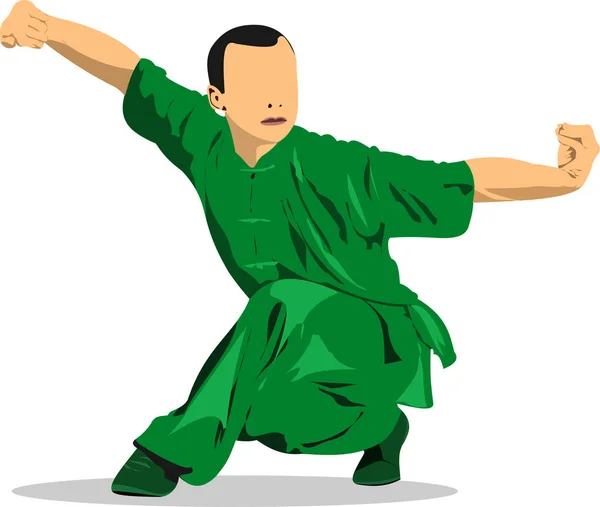 Sport Combattimento Orientale Wushu Illustrazione Vettoriale Colorata — Vettoriale Stock