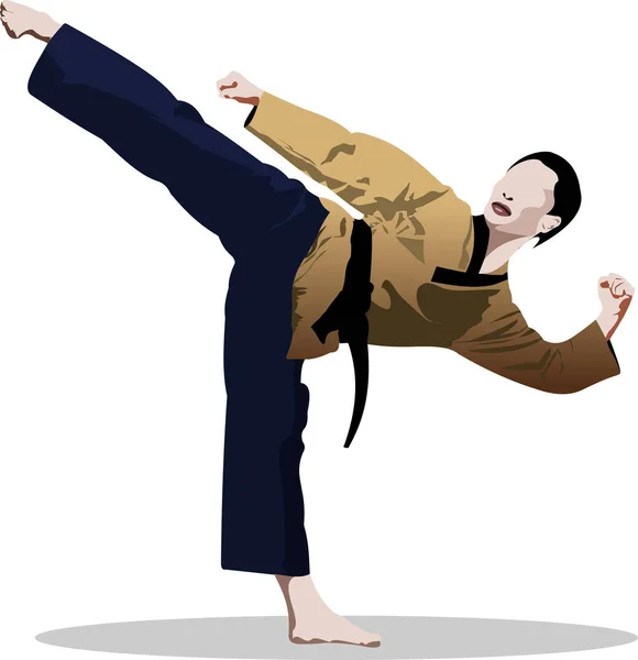 Sports Combat Orientaux Kungfu Illustration Vectorielle Colorée — Image vectorielle