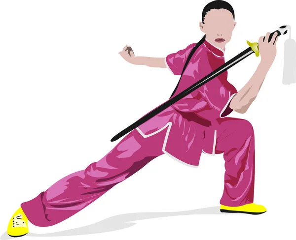 Sports Combat Orientaux Wushu Illustration Vectorielle Colorée — Image vectorielle