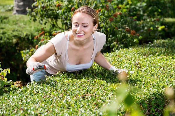 Retrato del jardinero femenino recortando setos verdes en el patio —  Fotos de Stock