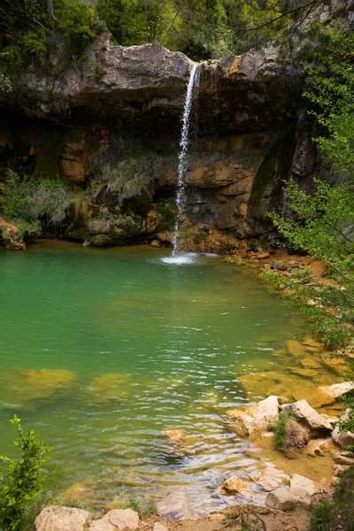 Cascade Catalogne Entourée Belles Forêts Vallées — Photo