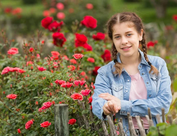 年轻的欧洲姑娘站在玫瑰边 提着篮子在花园里 — 图库照片