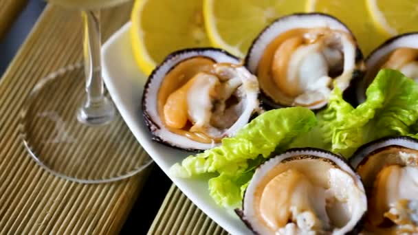 Raw bivalve shellfishes — Stock Video