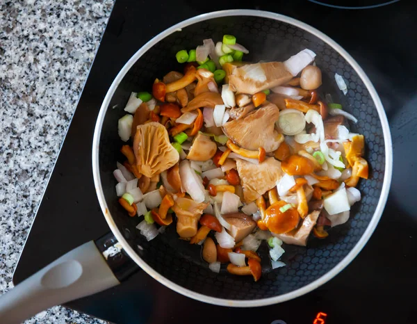 Närbild av läckra stekta svampar med lök — Stockfoto